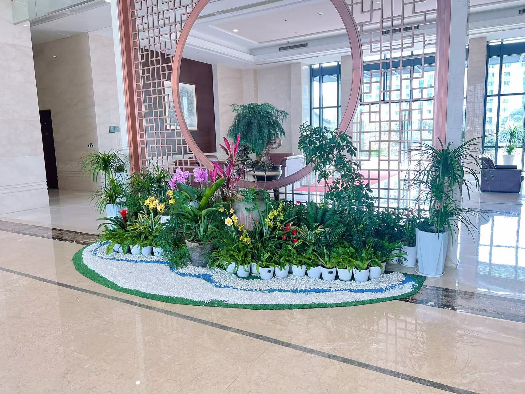 探秘宁波慈溪花木租摆，实惠价开启绿色生活！